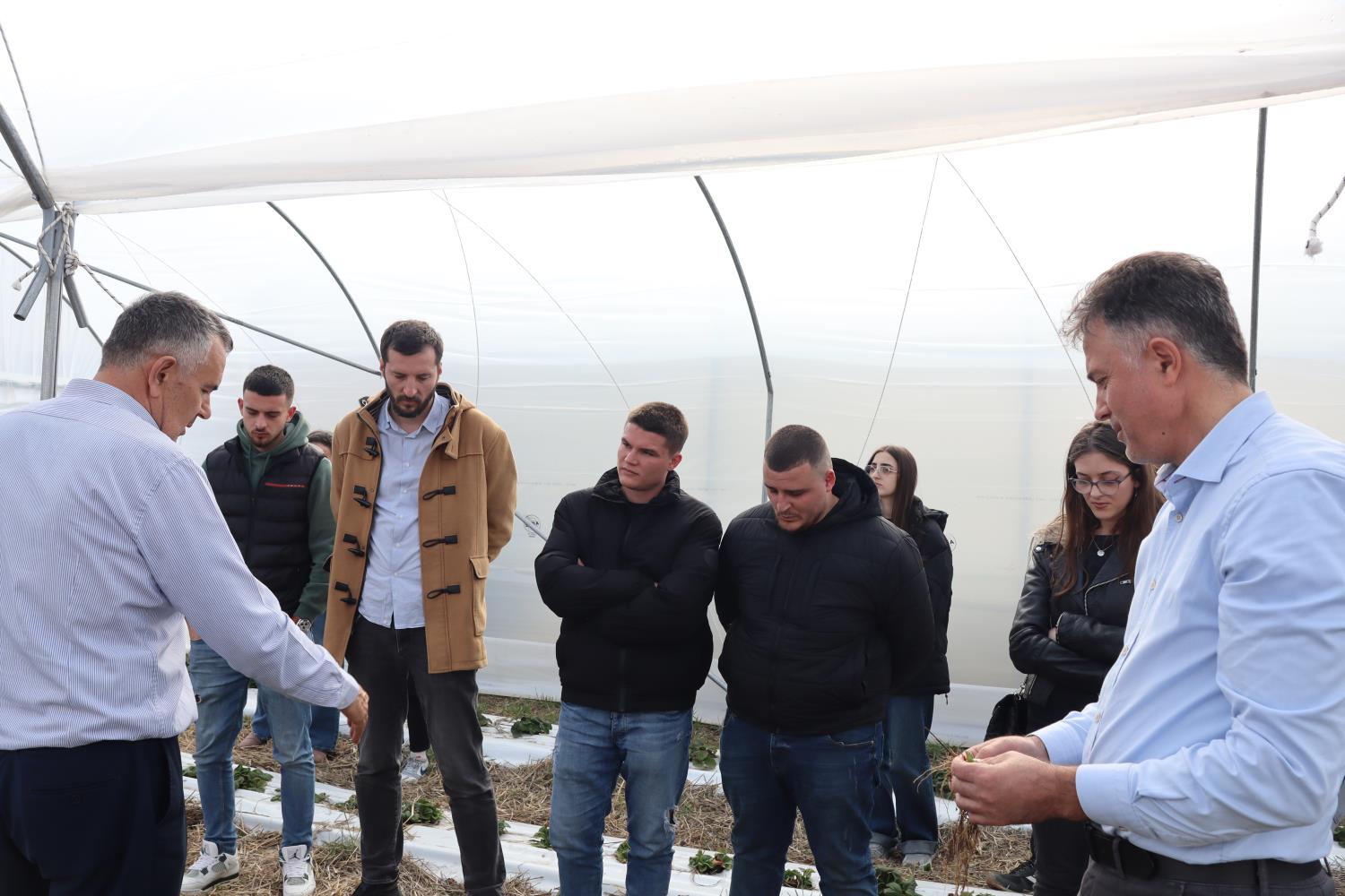 Students of the Faculty of Agriculture and Veterinary Medicine practice tree pruning at IADK