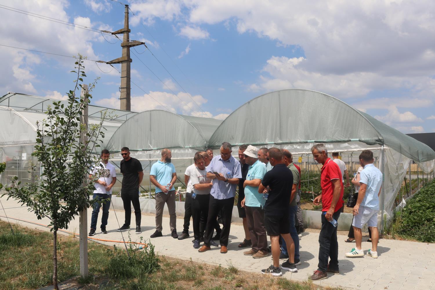 Digitalization and Climate Change in Agriculture