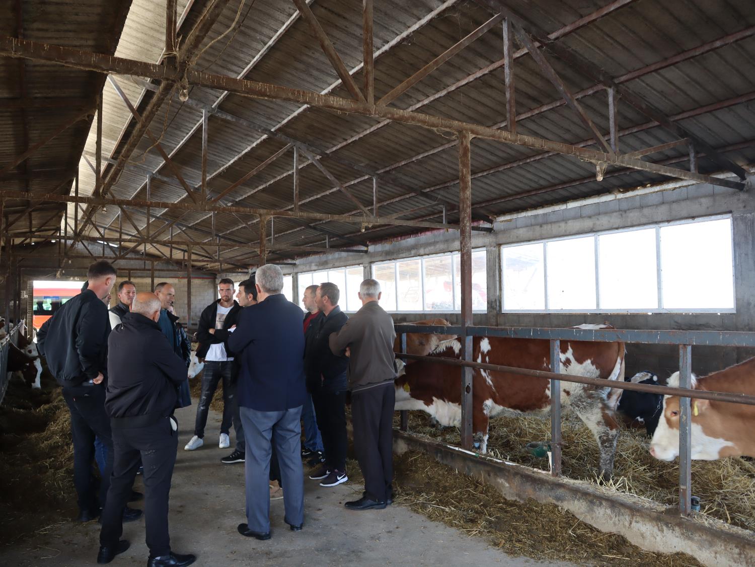 Vizita studimore në sektorin e blegtorisë – përvojë praktike dhe shkëmbim njohurish ndërmjet fermrëve 