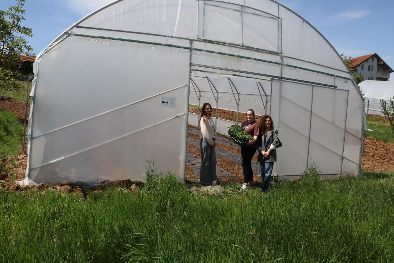 IADK Completes the Construction of Greenhouses for 17 Beneficiaries