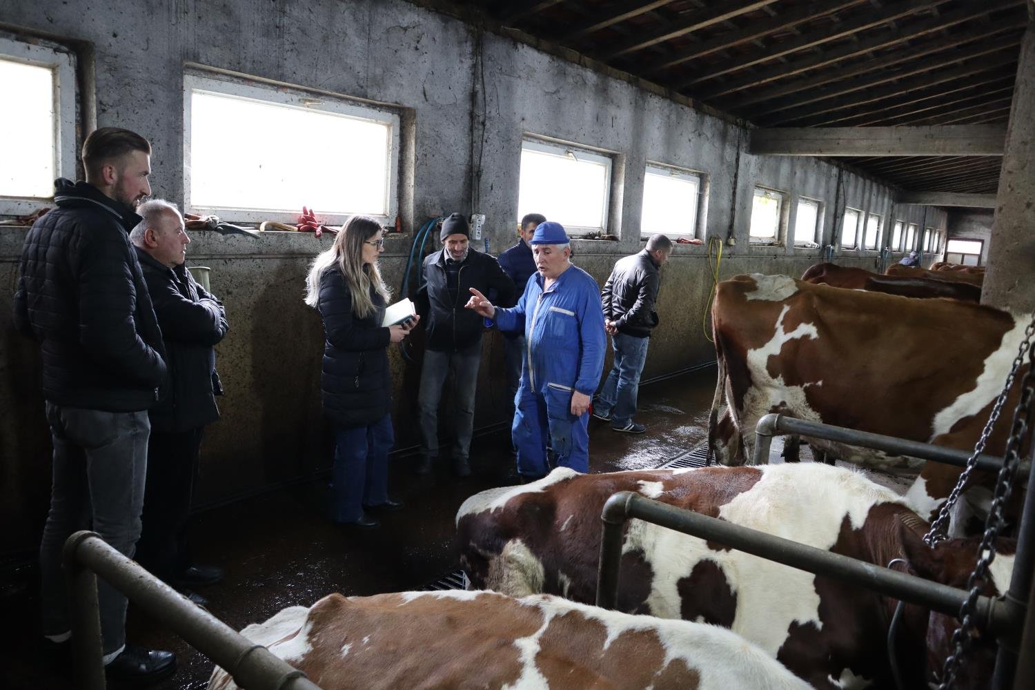 2.JPG