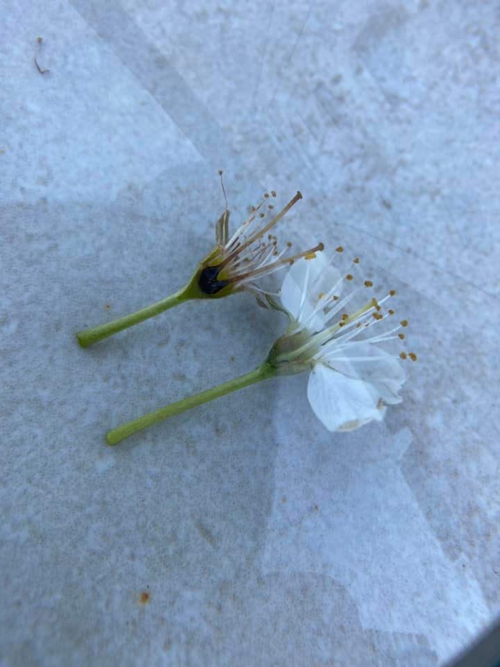 18042020_2.jpg